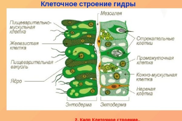 Kra36.cc Вход на сайт главная страница