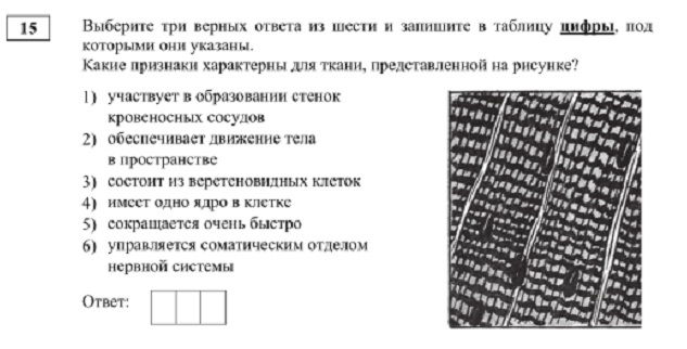 Официальный сайт даркнет